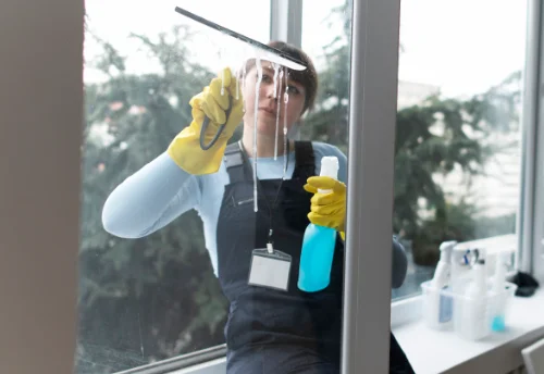 Nettoyage de vitres intérieures et extérieures à Dollot